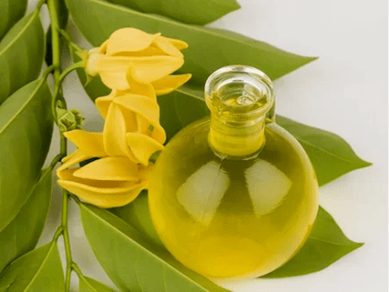 Aromaterapija za poboljšanje potencijala